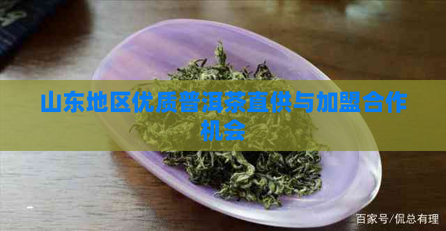 山东地区优质普洱茶直供与加盟合作机会