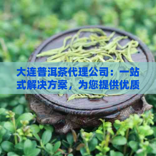 大连普洱茶代理公司：一站式解决方案，为您提供优质茶叶与专业服务