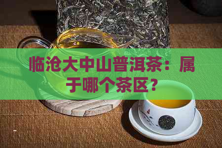 临沧大中山普洱茶：属于哪个茶区？