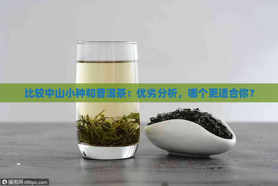 比较中山小种和普洱茶：优劣分析，哪个更适合你？