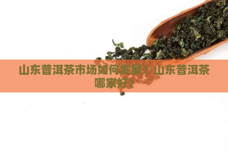 山东普洱茶市场如何发展？山东普洱茶哪家好？