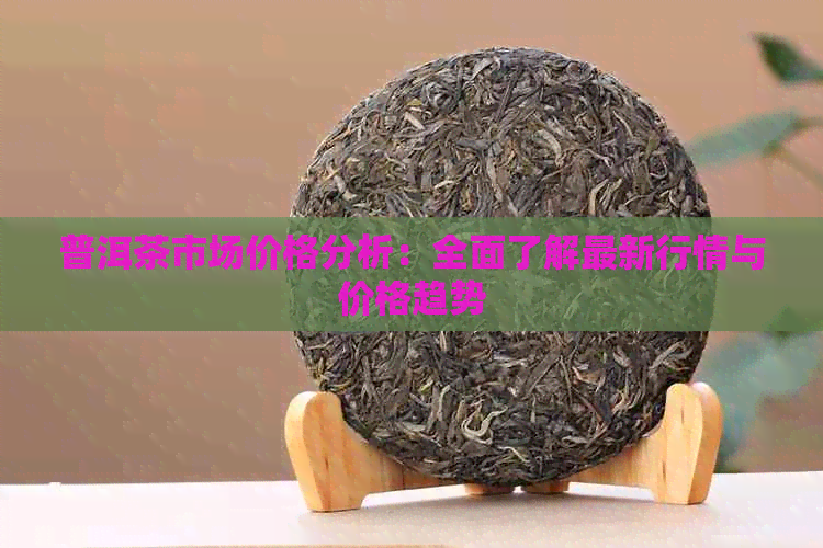 普洱茶市场价格分析：全面了解最新行情与价格趋势