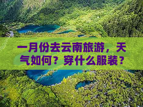 一月份去云南旅游，天气如何？穿什么服装？