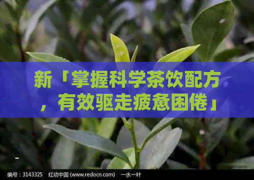 新「掌握科学茶饮配方，有效驱走疲惫困倦」