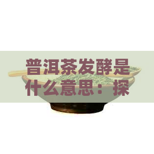 普洱茶发酵是什么意思：探究普洱茶独特的发酵过程及其作用和原理。