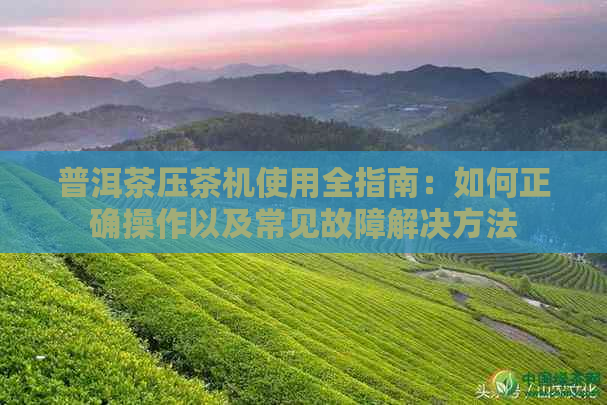 普洱茶压茶机使用全指南：如何正确操作以及常见故障解决方法