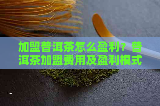 加盟普洱茶怎么盈利？普洱茶加盟费用及盈利模式解析