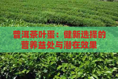 普洱茶叶蛋：健新选择的营养益处与潜在效果