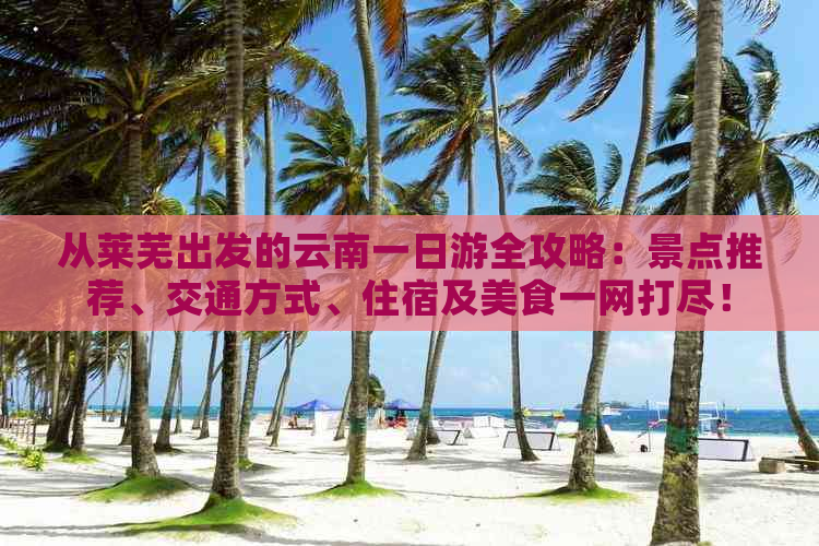 从莱芜出发的云南一日游全攻略：景点推荐、交通方式、住宿及美食一网打尽！