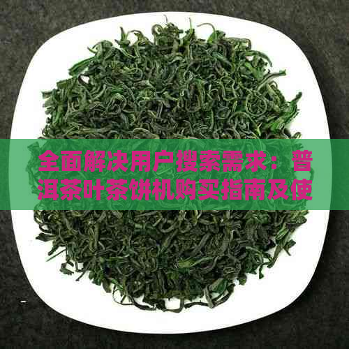 全面解决用户搜索需求：普洱茶叶茶饼机购买指南及使用技巧