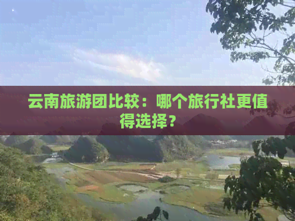 云南旅游团比较：哪个旅行社更值得选择？