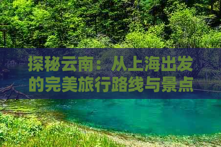 探秘云南：从上海出发的完美旅行路线与景点推荐