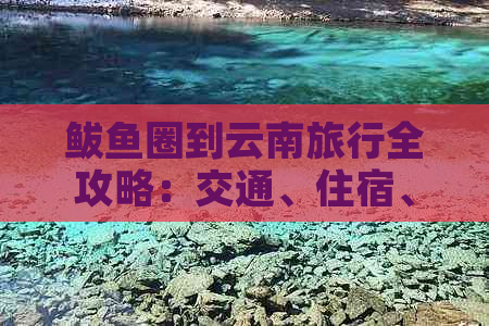 鲅鱼圈到云南旅行全攻略：交通、住宿、景点、美食一应俱全！