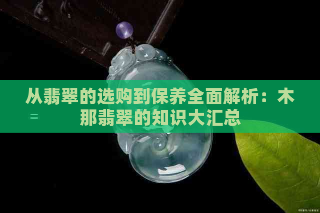 从翡翠的选购到保养全面解析：木那翡翠的知识大汇总