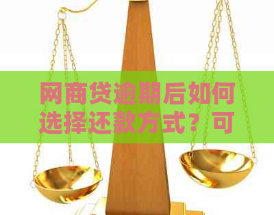 网商贷逾期后如何选择还款方式？可以部分还款吗？了解全面解决方案！