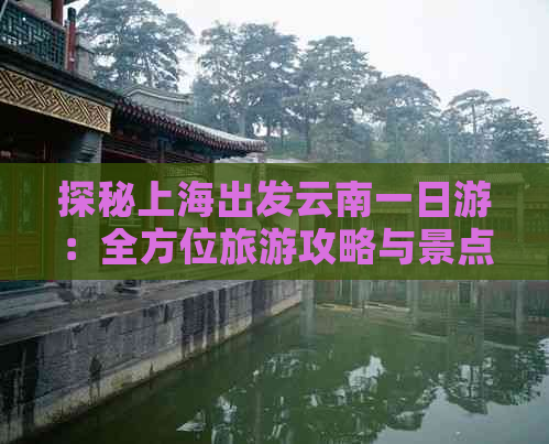 探秘上海出发云南一日游：全方位旅游攻略与景点推荐，让您畅游云南风光