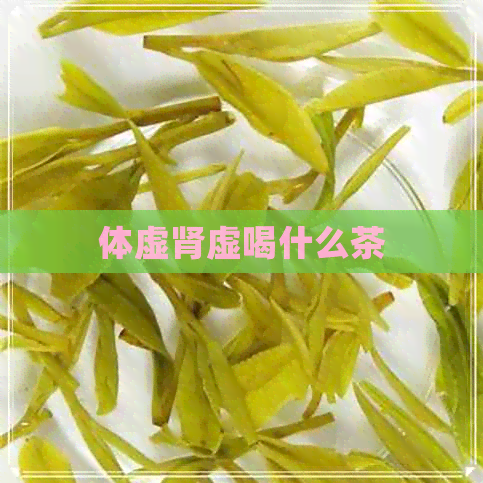 体虚肾虚喝什么茶