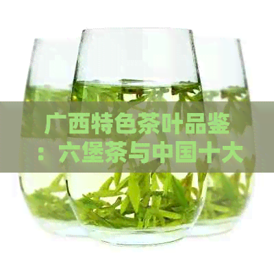 广西特色茶叶品鉴：六堡茶与中国十大名茶的异同