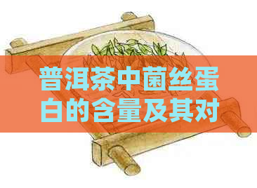 普洱茶中菌丝蛋白的含量及其对健的影响：全面解析