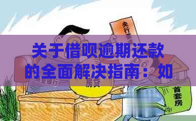 关于借呗逾期还款的全面解决指南：如何处理逾期款项并继续按时还款？