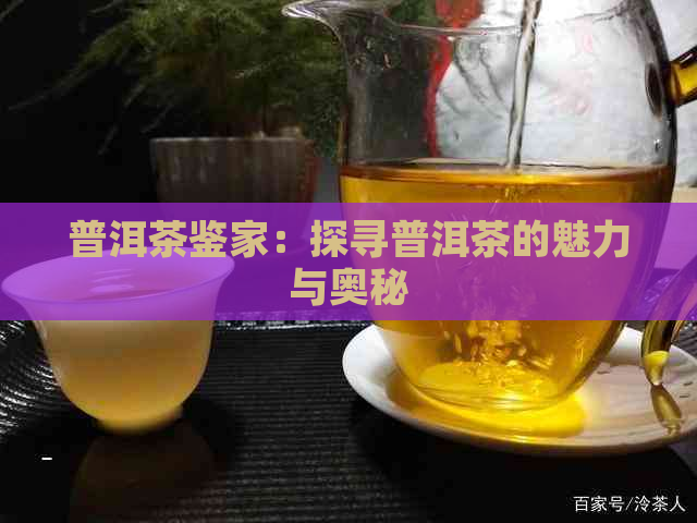 普洱茶鉴家：探寻普洱茶的魅力与奥秘