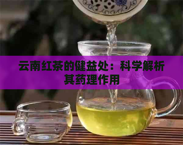 云南红茶的健益处：科学解析其药理作用