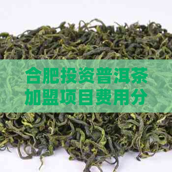 合肥投资普洱茶加盟项目费用分析