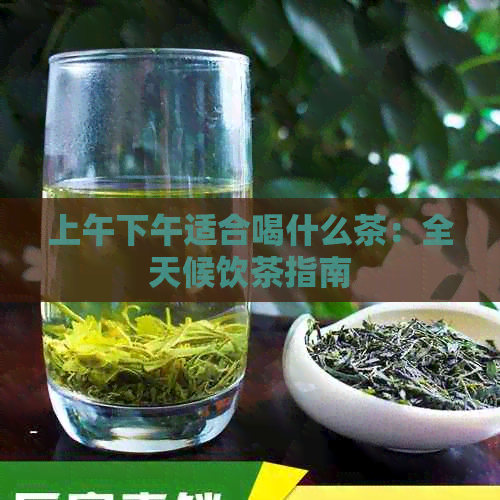 上午下午适合喝什么茶：全天候饮茶指南