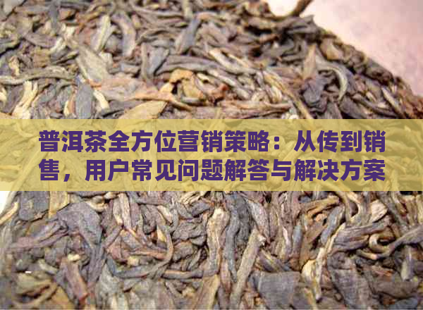 普洱茶全方位营销策略：从传到销售，用户常见问题解答与解决方案