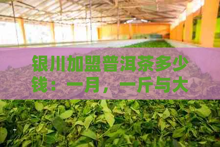 银川加盟普洱茶多少钱：一月，一斤与大概价格解析