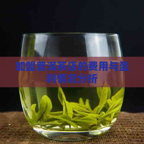 加盟普洱茶店的费用与盈利情况分析