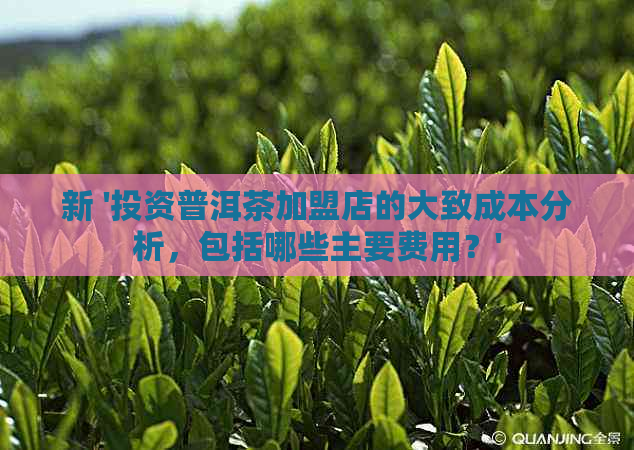 新 '投资普洱茶加盟店的大致成本分析，包括哪些主要费用？'