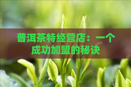 普洱茶特经营店：一个成功加盟的秘诀