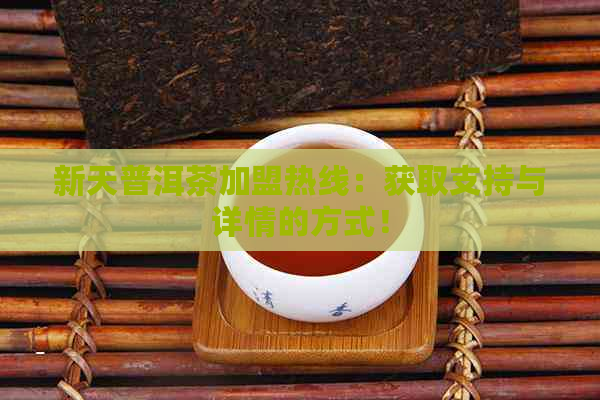 新天普洱茶加盟热线：获取支持与详情的方式！