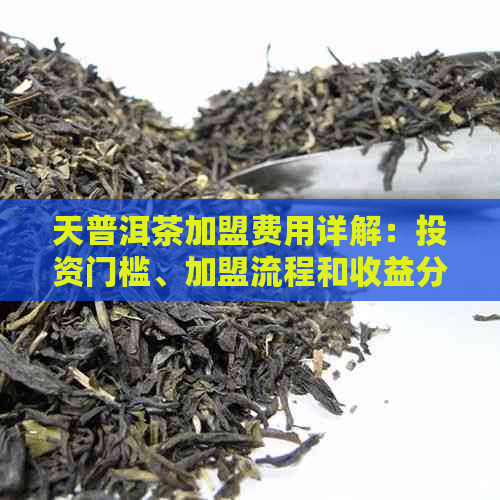 天普洱茶加盟费用详解：投资门槛、加盟流程和收益分析全解析