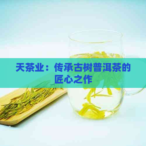 天茶业：传承古树普洱茶的匠心之作