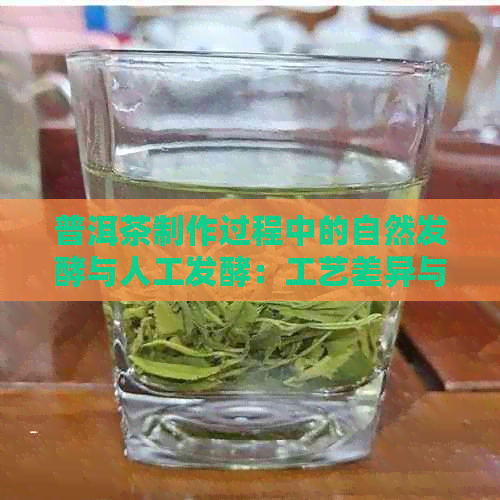 普洱茶制作过程中的自然发酵与人工发酵：工艺差异与品质影响