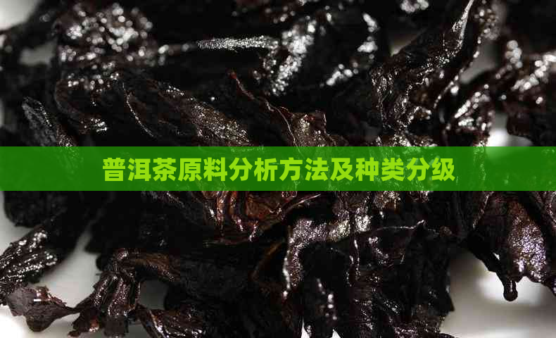 普洱茶原料分析方法及种类分级