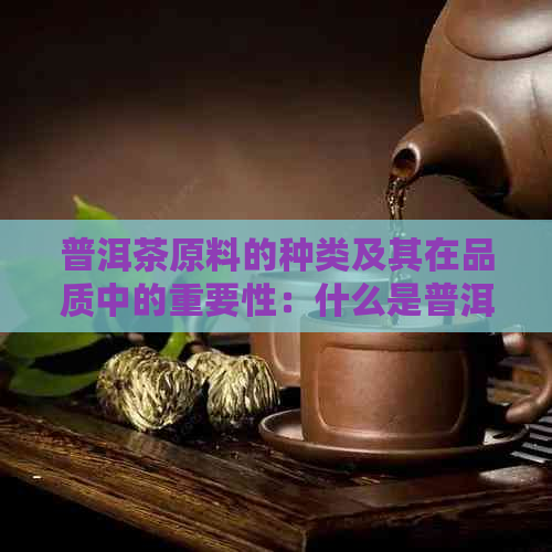 普洱茶原料的种类及其在品质中的重要性：什么是普洱茶原料？