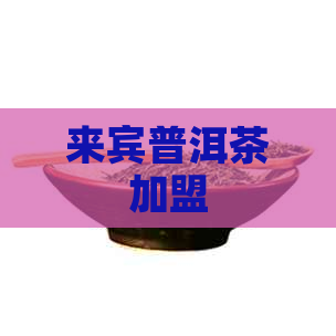 来宾普洱茶加盟