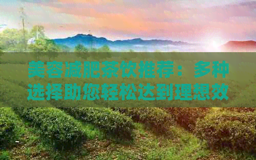 美容减肥茶饮推荐：多种选择助您轻松达到理想效果