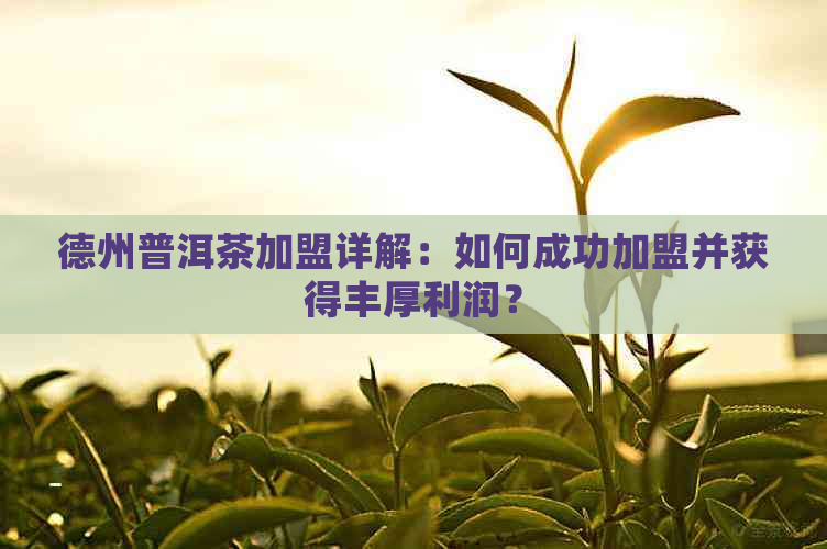 德州普洱茶加盟详解：如何成功加盟并获得丰厚利润？