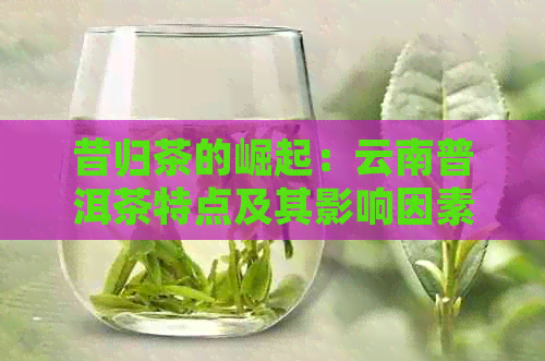 昔归茶的崛起：云南普洱茶特点及其影响因素