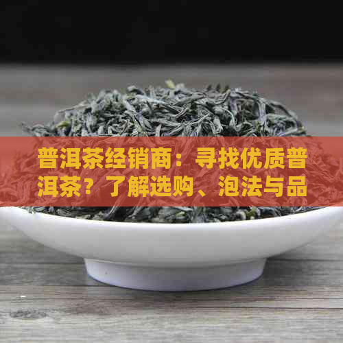 普洱茶经销商：寻找优质普洱茶？了解选购、泡法与品质保障的全方位指南！