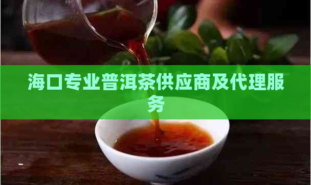 海口专业普洱茶供应商及代理服务