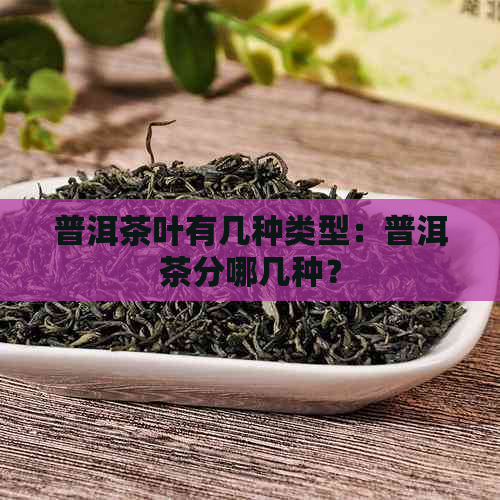 普洱茶叶有几种类型：普洱茶分哪几种？