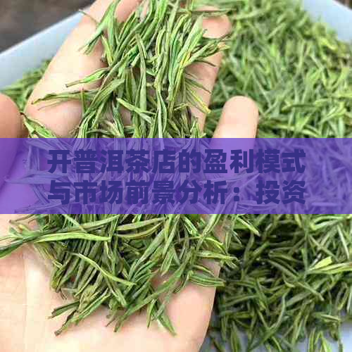 开普洱茶店的盈利模式与市场前景分析：投资是否具有高回报？