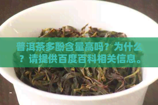 普洱茶多酚含量高吗？为什么？请提供百度百科相关信息。