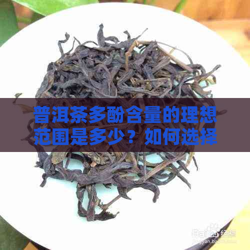 普洱茶多酚含量的理想范围是多少？如何选择合适的普洱茶？