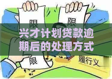 兴才计划贷款逾期后的处理方式及其对孩子未来的影响：全面解析